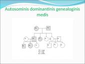 Genealoginiai medžiai 6 puslapis