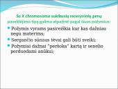 Genealoginiai medžiai 9 puslapis