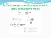 Genealoginiai medžiai 10 puslapis