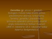 Genetika ir mutacija 2 puslapis