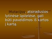 Genetika ir mutacija 11 puslapis