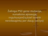 Genetika ir mutacija 12 puslapis