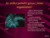 Genetinė modifikacija ir genetiškai modifikuoti organizmai (GMO) 14 puslapis