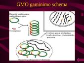 Genetinė modifikacija ir genetiškai modifikuoti organizmai (GMO) 7 puslapis