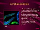 Genetinė modifikacija ir genetiškai modifikuoti organizmai (GMO) 10 puslapis