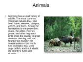 Germany, Federal Republic of  7 puslapis