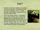 The Giant Panda 3 puslapis