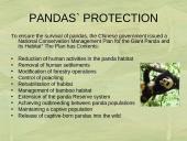 The Giant Panda 8 puslapis