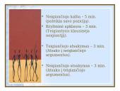 Ginčo kalbos: debatai, polemika 15 puslapis