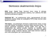 Globalūs tinklai 12 puslapis