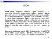 Globalūs tinklai 13 puslapis