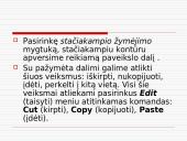 Grafikos rengyklės. Paint programa 10 puslapis