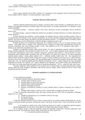 Šeimos teisė konspektas 6 puslapis