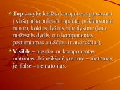 Grupavimo komponentas ir jo taikymai: GroupBox 8 puslapis