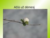 Hyperglosija ir hypoglosija 20 puslapis