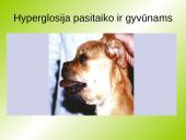 Hyperglosija ir hypoglosija 5 puslapis