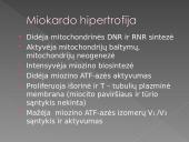 Hipertenzinė širdies liga 11 puslapis