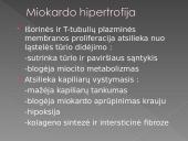 Hipertenzinė širdies liga 13 puslapis