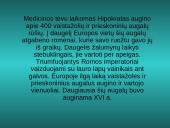 Hipokratas 8 puslapis