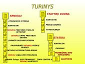 Įmonės pristatymas: "Senukai"