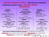 Įmonės pristatymas: "Senukai" 13 puslapis