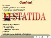 Įmonės pristatymas: "Senukai" 18 puslapis