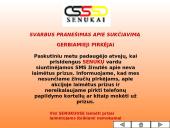 Įmonės pristatymas: "Senukai" 19 puslapis