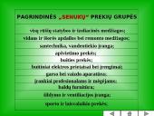 Įmonės pristatymas: "Senukai" 8 puslapis