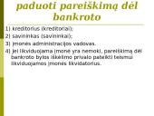Įmonių bankrotas 13 puslapis