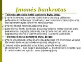 Įmonių bankrotas 14 puslapis