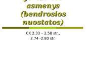 Įmonių (juridinių asmenų) teisė 2 puslapis