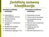 Įmonių (juridinių asmenų) teisė 11 puslapis