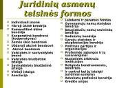 Įmonių (juridinių asmenų) teisė 12 puslapis