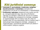 Įmonių (juridinių asmenų) teisė 13 puslapis