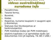 Įmonių (juridinių asmenų) teisė 19 puslapis