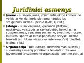 Įmonių (juridinių asmenų) teisė 4 puslapis