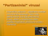 Informacijos apsauga ir virusai 12 puslapis