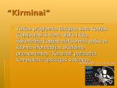 Informacijos apsauga ir virusai 15 puslapis