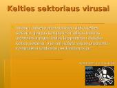 Informacijos apsauga ir virusai 8 puslapis