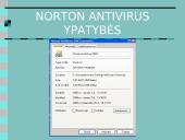 Informacijos apsauga ir kompiuterių virusai 17 puslapis