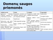 Informacijos ir duomenų apsauga 11 puslapis
