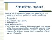 Informacijos vizualizavimo technologijos 2 puslapis
