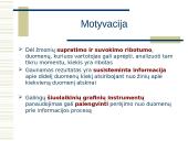 Informacijos vizualizavimo technologijos 11 puslapis