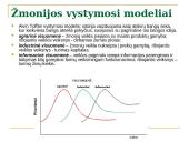 Kas yra informacinė visuomenė? 4 puslapis
