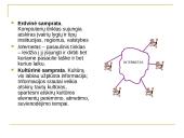 Kas yra informacinė visuomenė? 8 puslapis