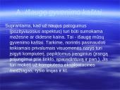 Informacinė visuomenė ir jos plėtra Lietuvoje 12 puslapis
