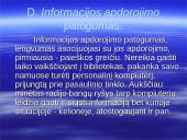 Informacinė visuomenė ir jos plėtra Lietuvoje 7 puslapis
