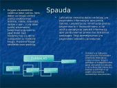 Informacinė visuomenė ir informacinės visuomenės paslaugos 4 puslapis