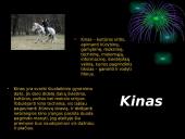 Informacinė visuomenė ir informacinės visuomenės paslaugos 6 puslapis