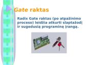 Informacinis saugumas 11 puslapis